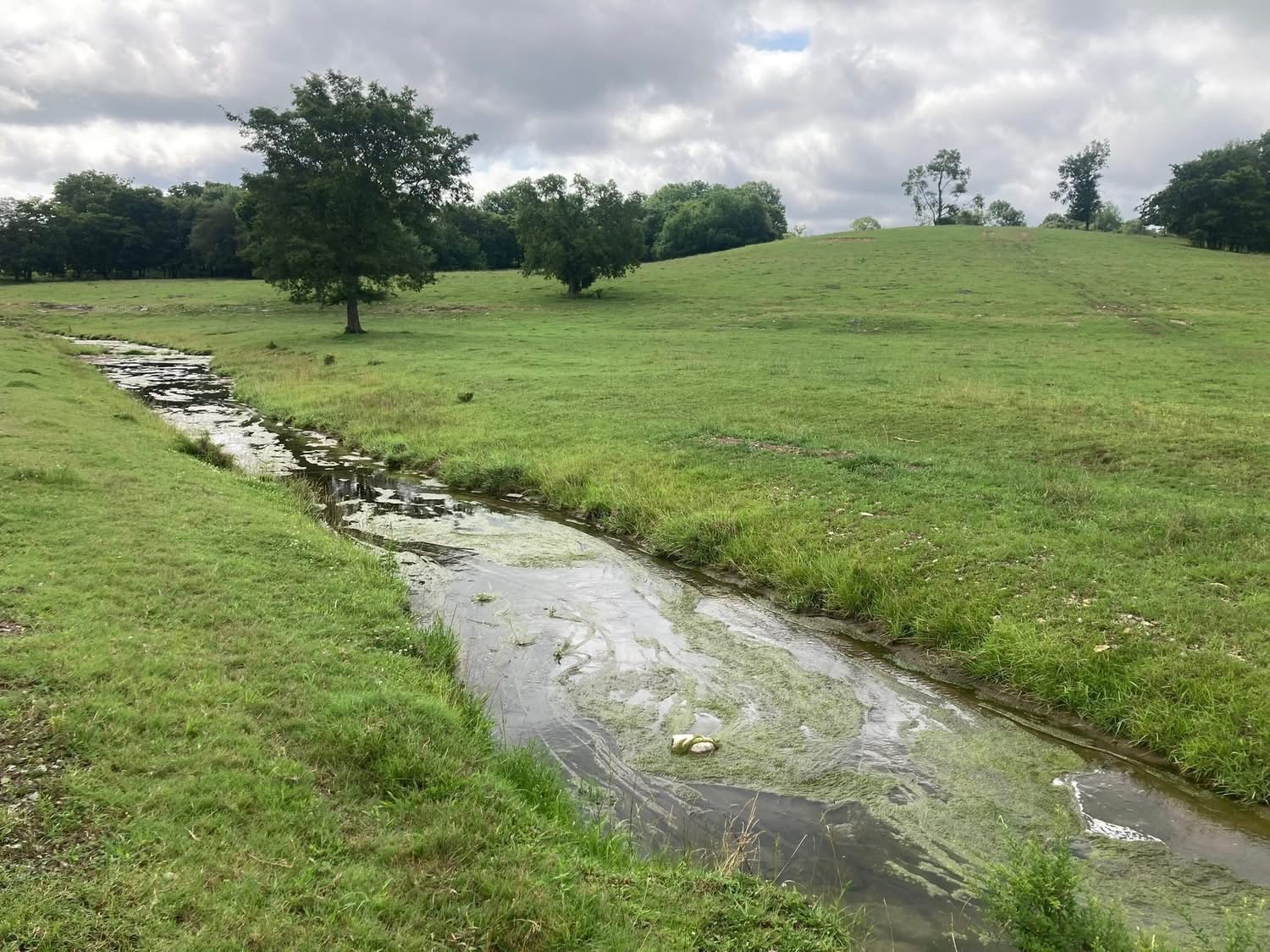 189 South Fishing Ford Road Petersburg, TN 37144 - Photo 12 of 16