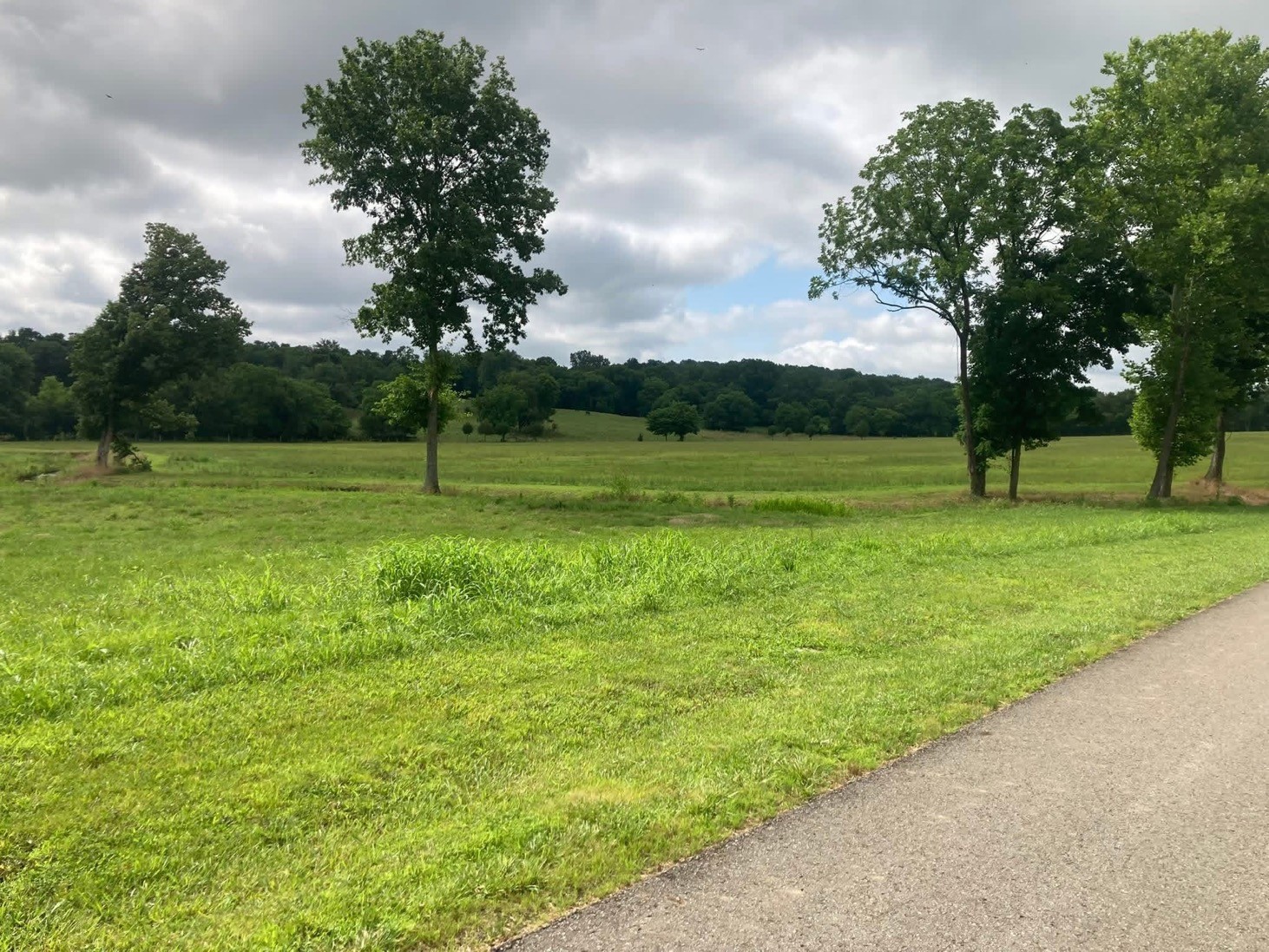 189 South Fishing Ford Road Petersburg, TN 37144 - Photo 13 of 16