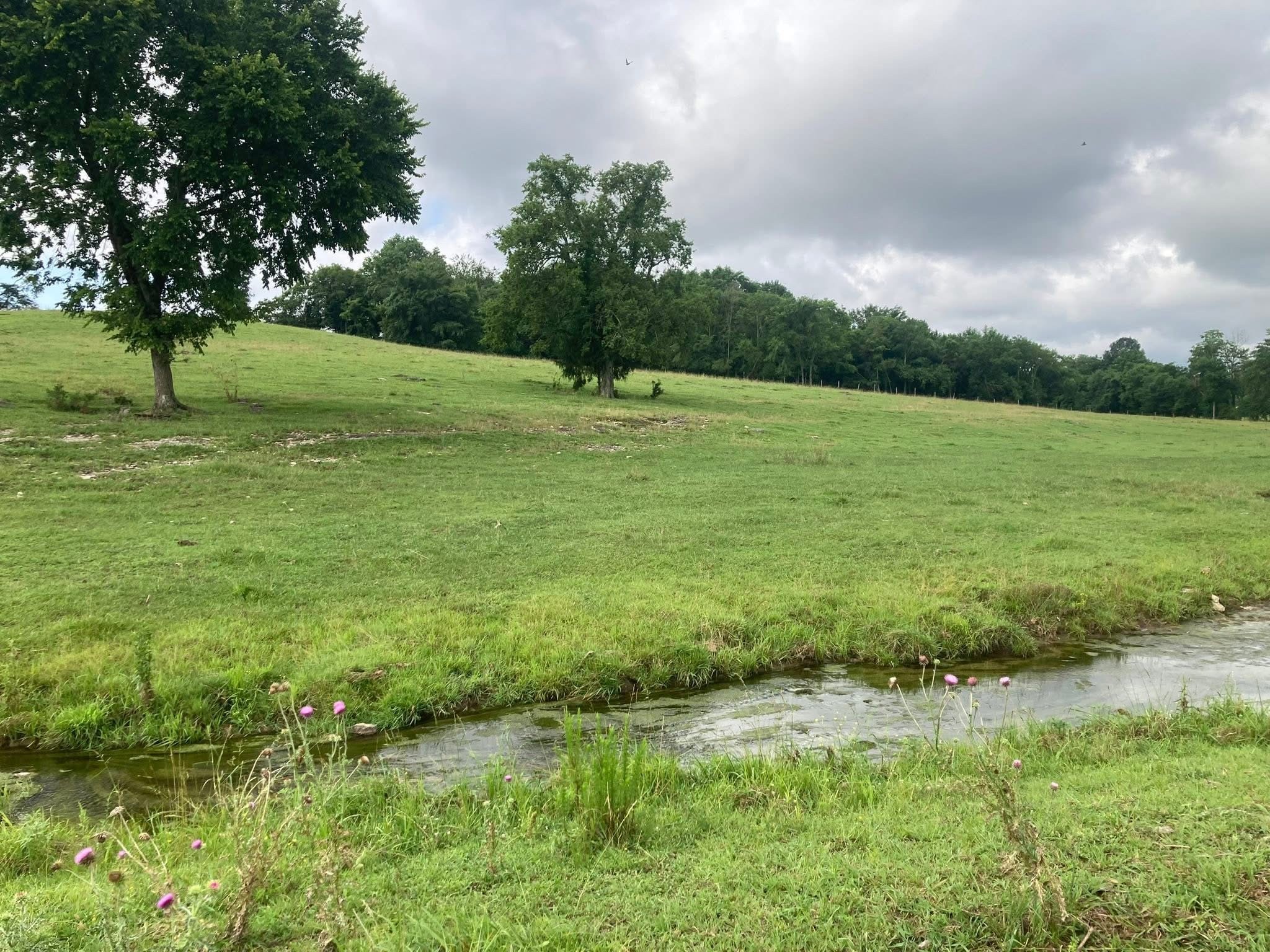 189 South Fishing Ford Road Petersburg, TN 37144 - Photo 16 of 16