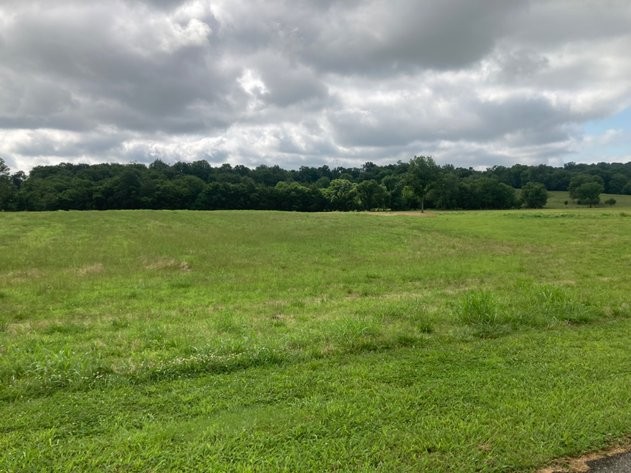 189 South Fishing Ford Road Petersburg, TN 37144 - Photo 5 of 16