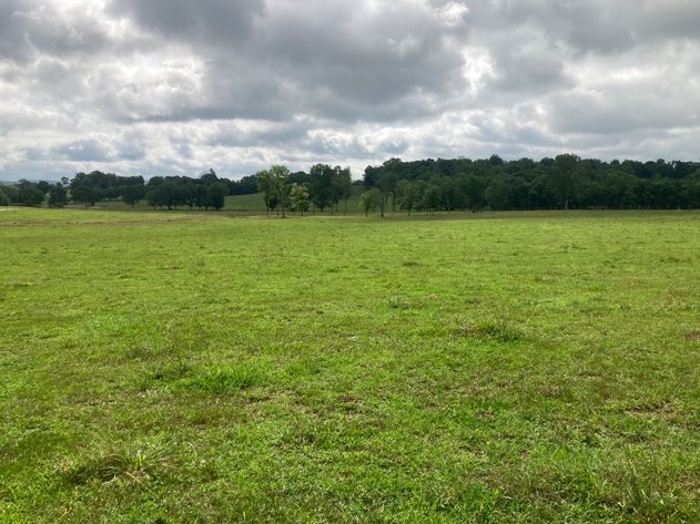 189 South Fishing Ford Road Petersburg, TN 37144 - Photo 6 of 16