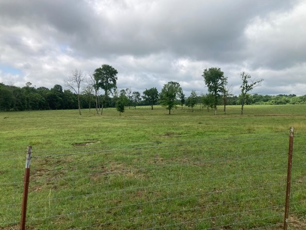 189 South Fishing Ford Road Petersburg, TN 37144 - Photo 7 of 16