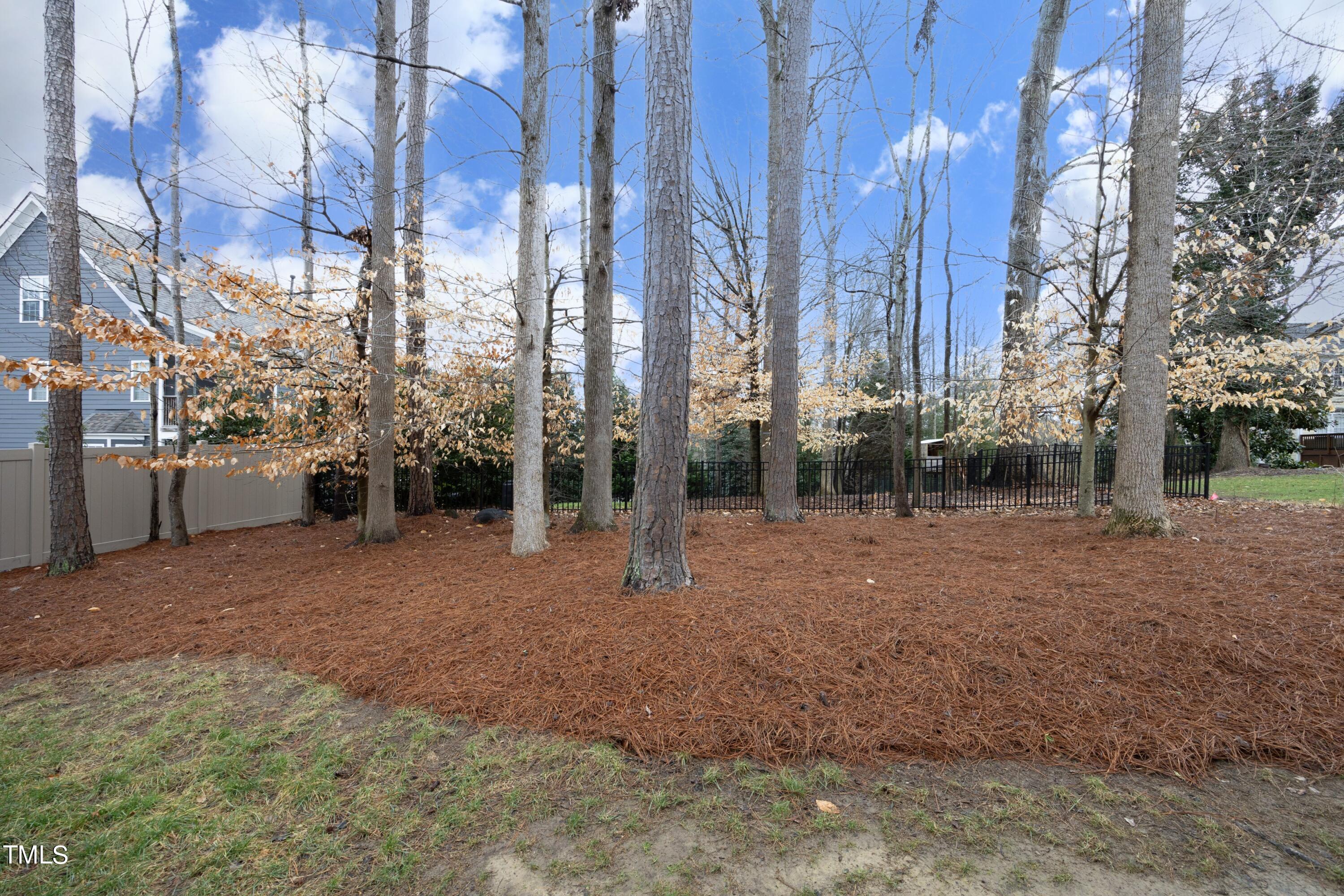 11514 Autumn Oaks Lane Raleigh, NC 27614 - Photo 37 of 39 a view of a yard with lots of green space