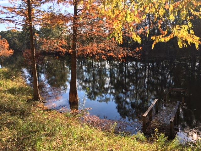 12360 Bromley Road Stapleton, AL 36578 - Photo 6 of 20 7 Acre Lake