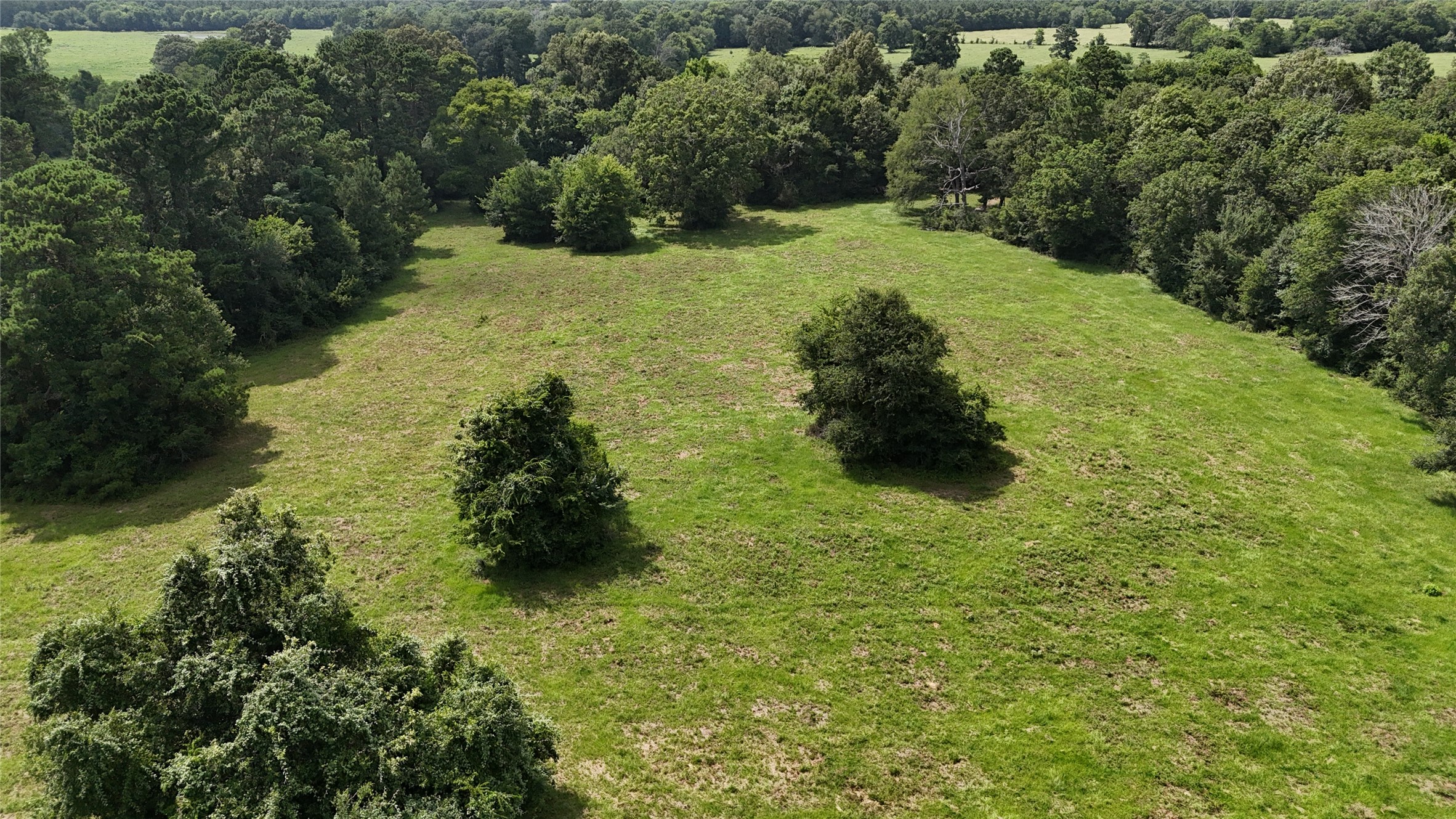 Tbd Jones Road New Waverly, TX 77358 - Photo 2 of 9