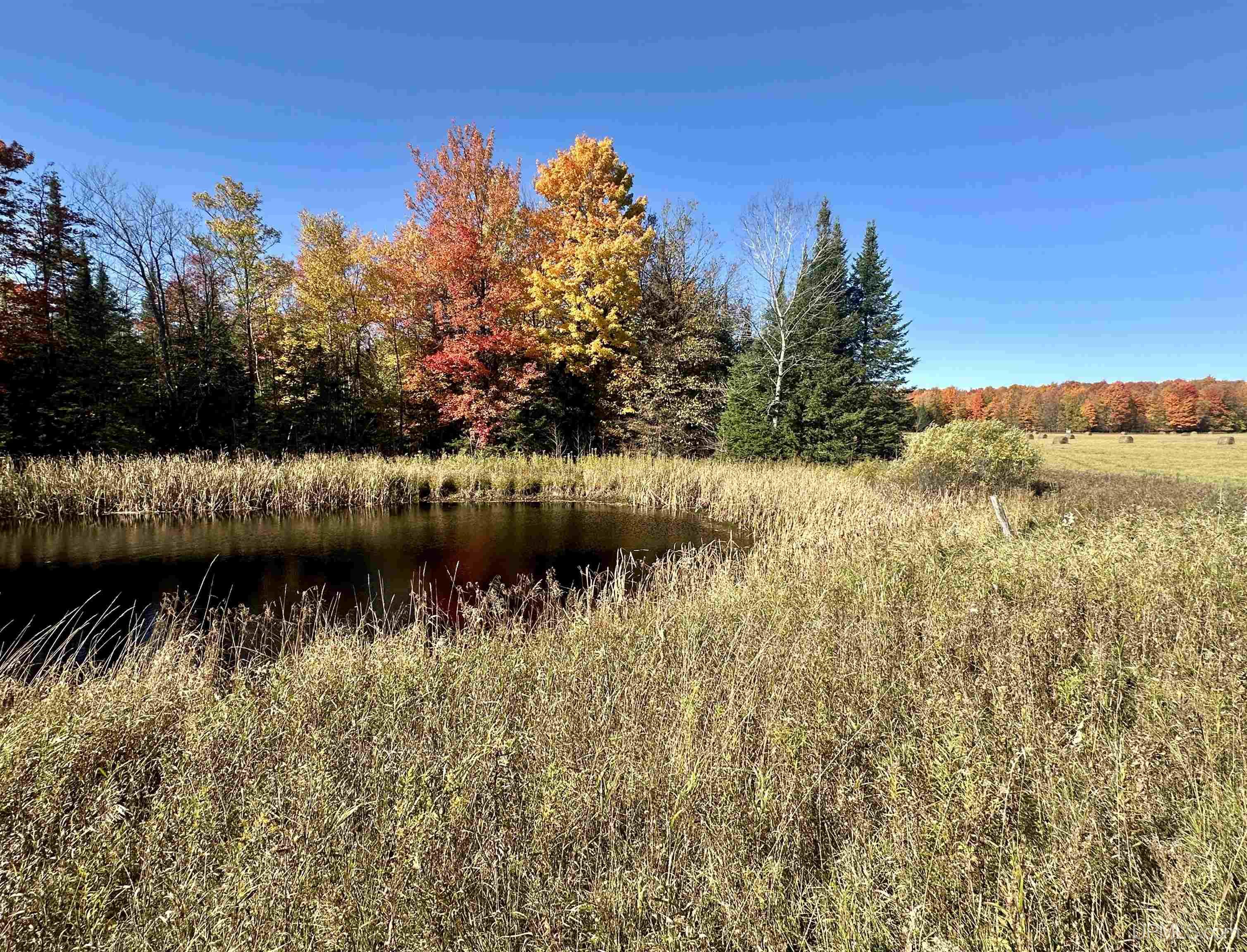 Tbd Tbd Tyner Road Chatham, MI 49816 - Photo 12 of 17