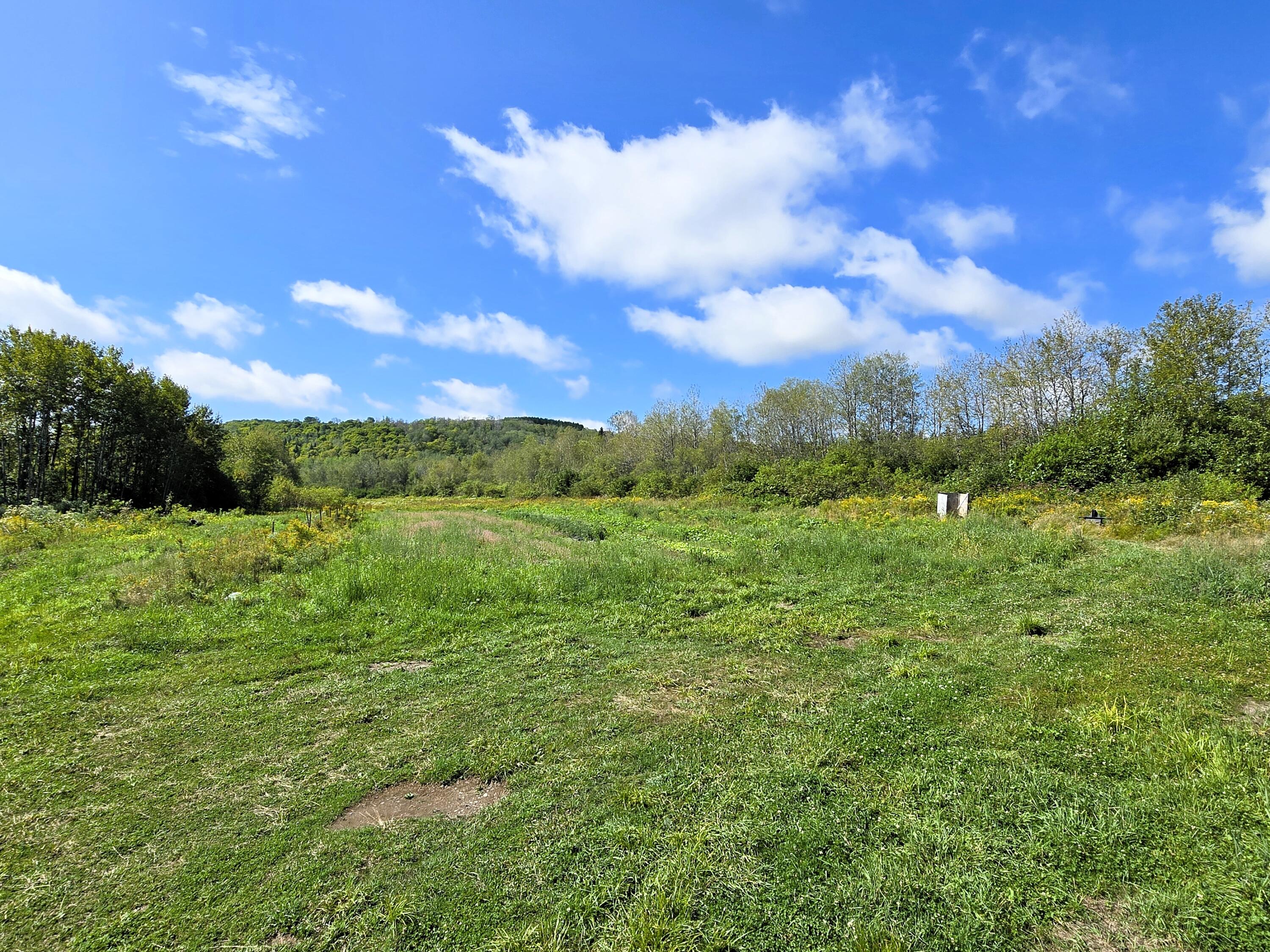 771 Main Street Van Buren, ME 04785 - Photo 14 of 17 Agricultural Land