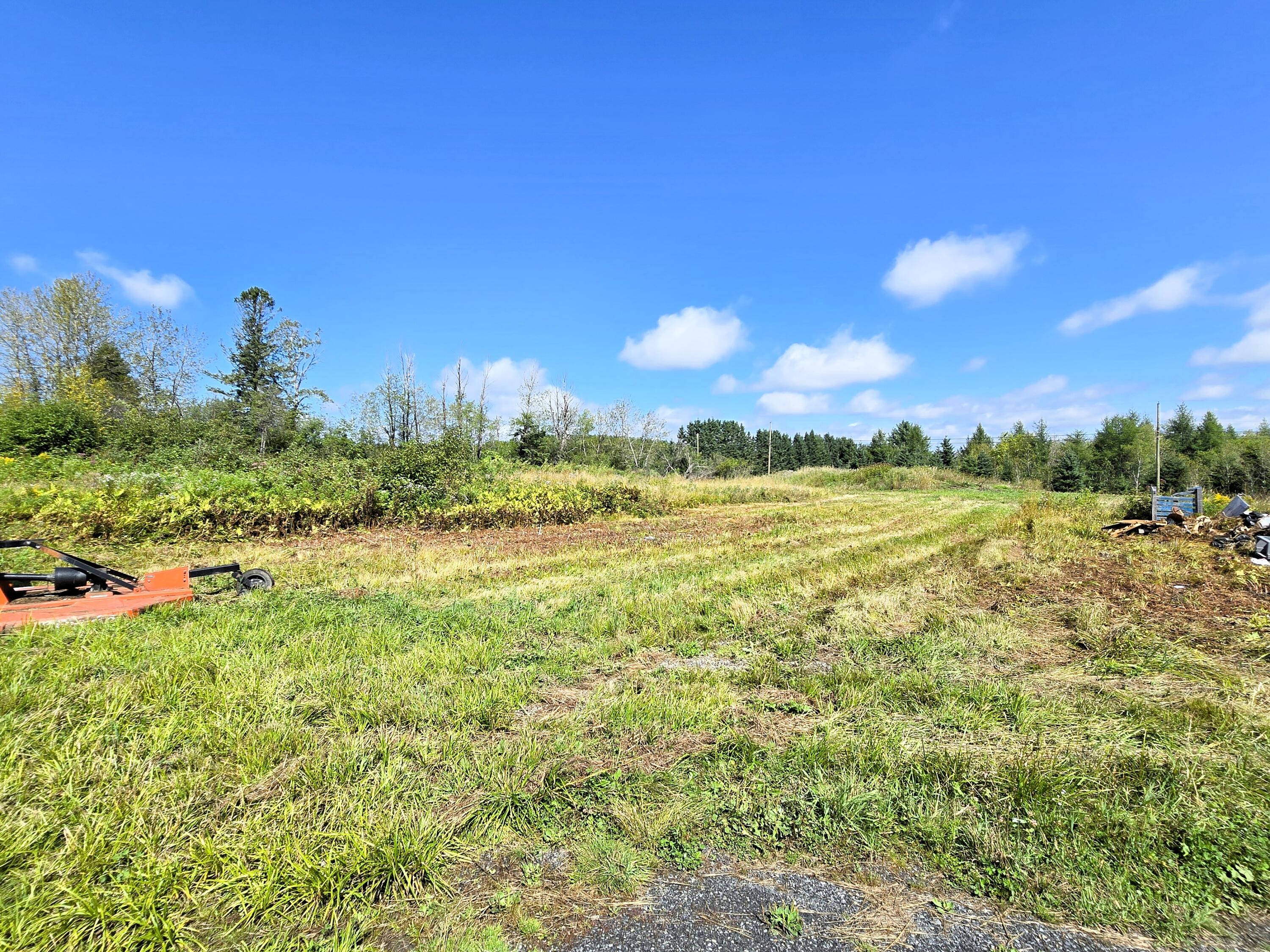 771 Main Street Van Buren, ME 04785 - Photo 16 of 17 Agricultural Land