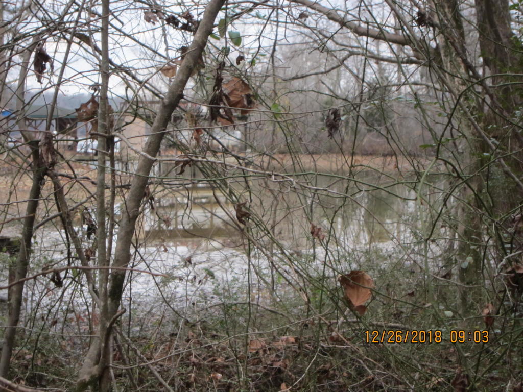 375 Ellis Road Kingston, TN 37763 - Photo 1 of 3 20190102154231247318000000-o