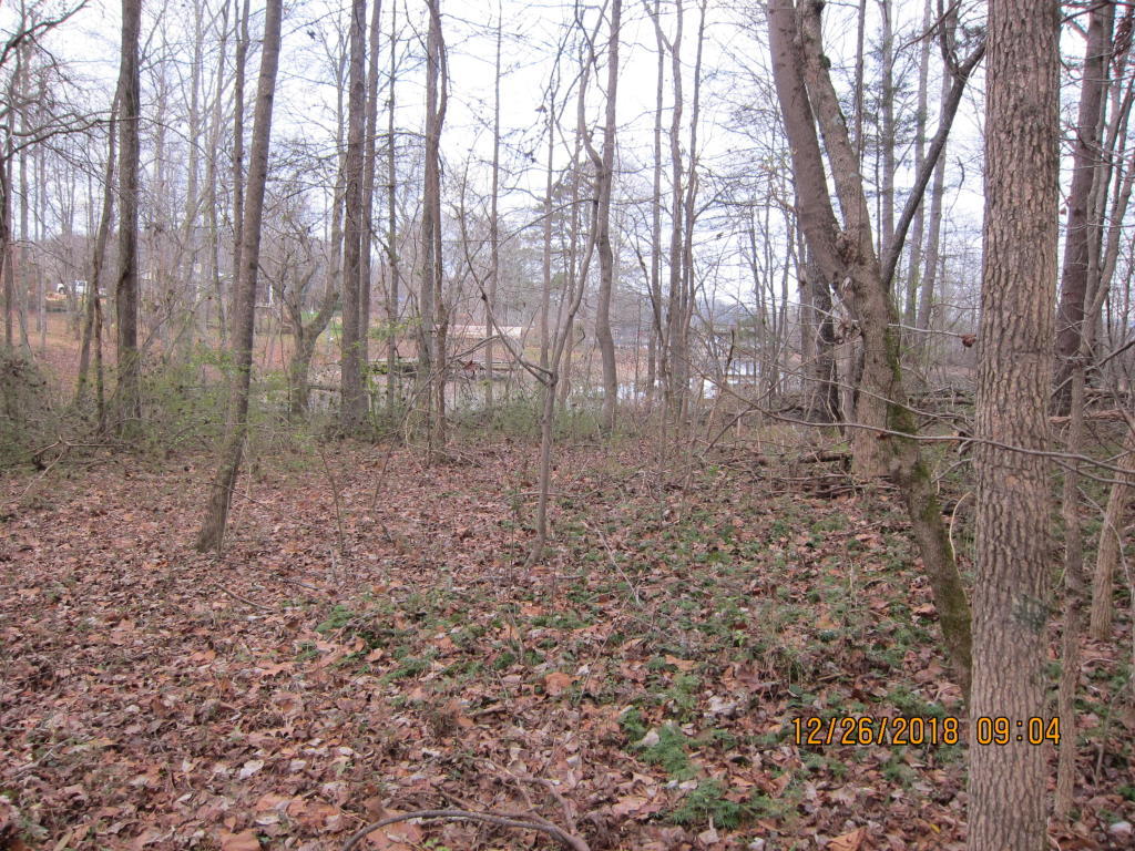 375 Ellis Road Kingston, TN 37763 - Photo 2 of 3 20190102154252375104000000-o