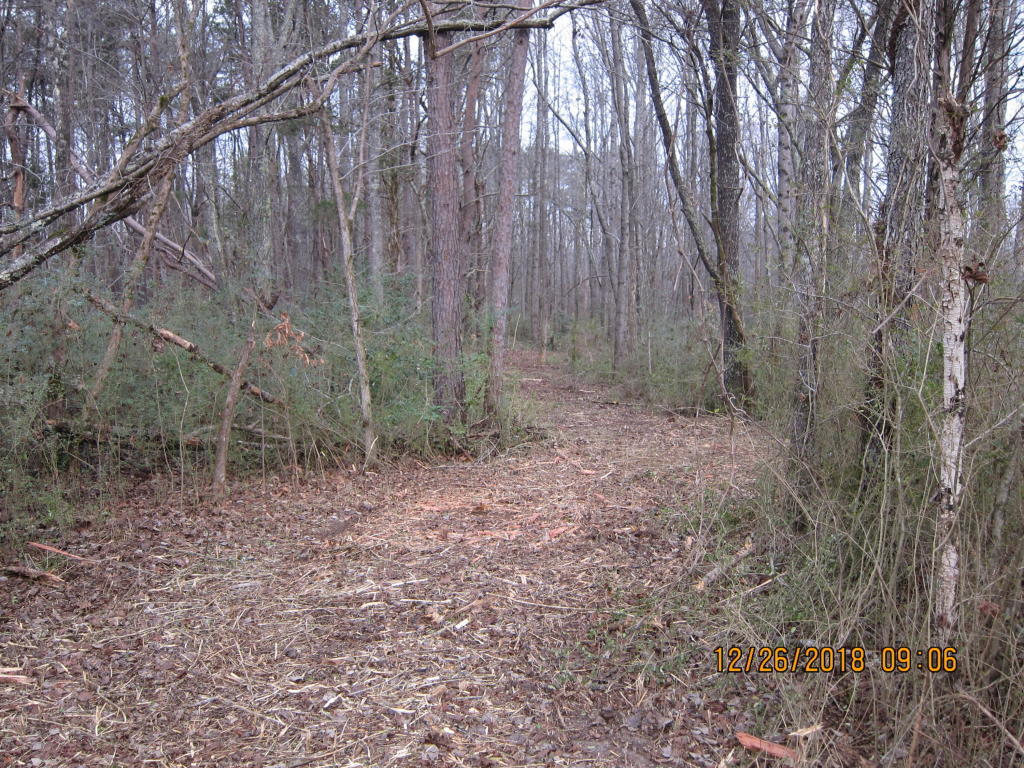 375 Ellis Road Kingston, TN 37763 - Photo 3 of 3 20190102154311716846000000-o