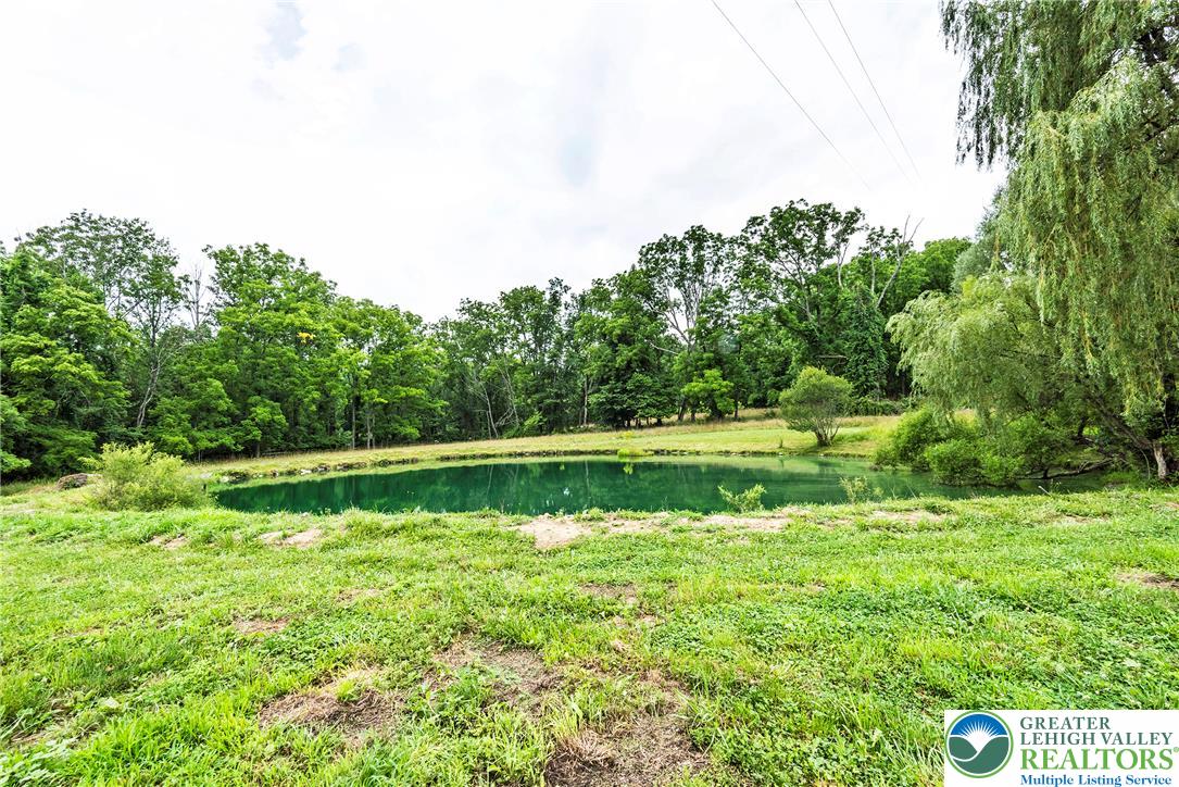 72 Allegheny Road Mount Bethel, PA 18343 - Photo 68 of 72 A tranquil pond surrounded by lush greenery, perfect for serene outdoor living.