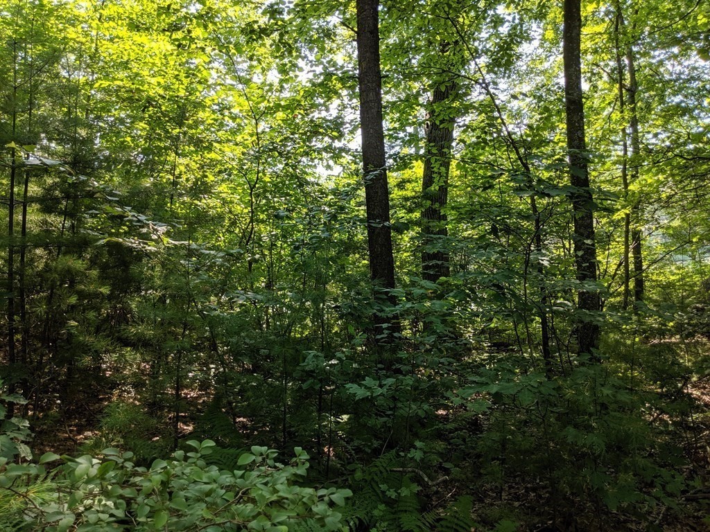 35 Northside Road Charlton, MA 01507 - Photo 11 of 30 Gallery Image 11