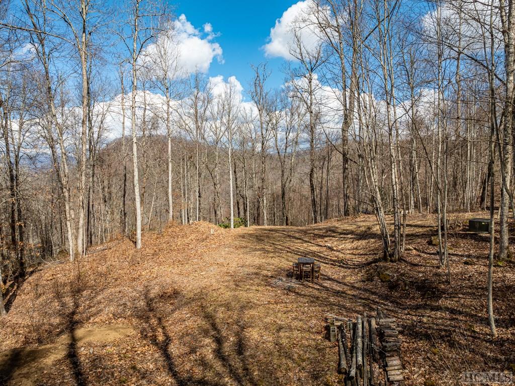 Lot 67 Pilot Knob Road Tuckasegee, NC 28783 - Photo 16 of 32 Gallery Image 16