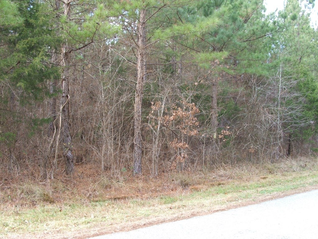 640 West Orgainsville Road Red Oak, VA 23964 - Photo 2 of 7 Gallery Image 2