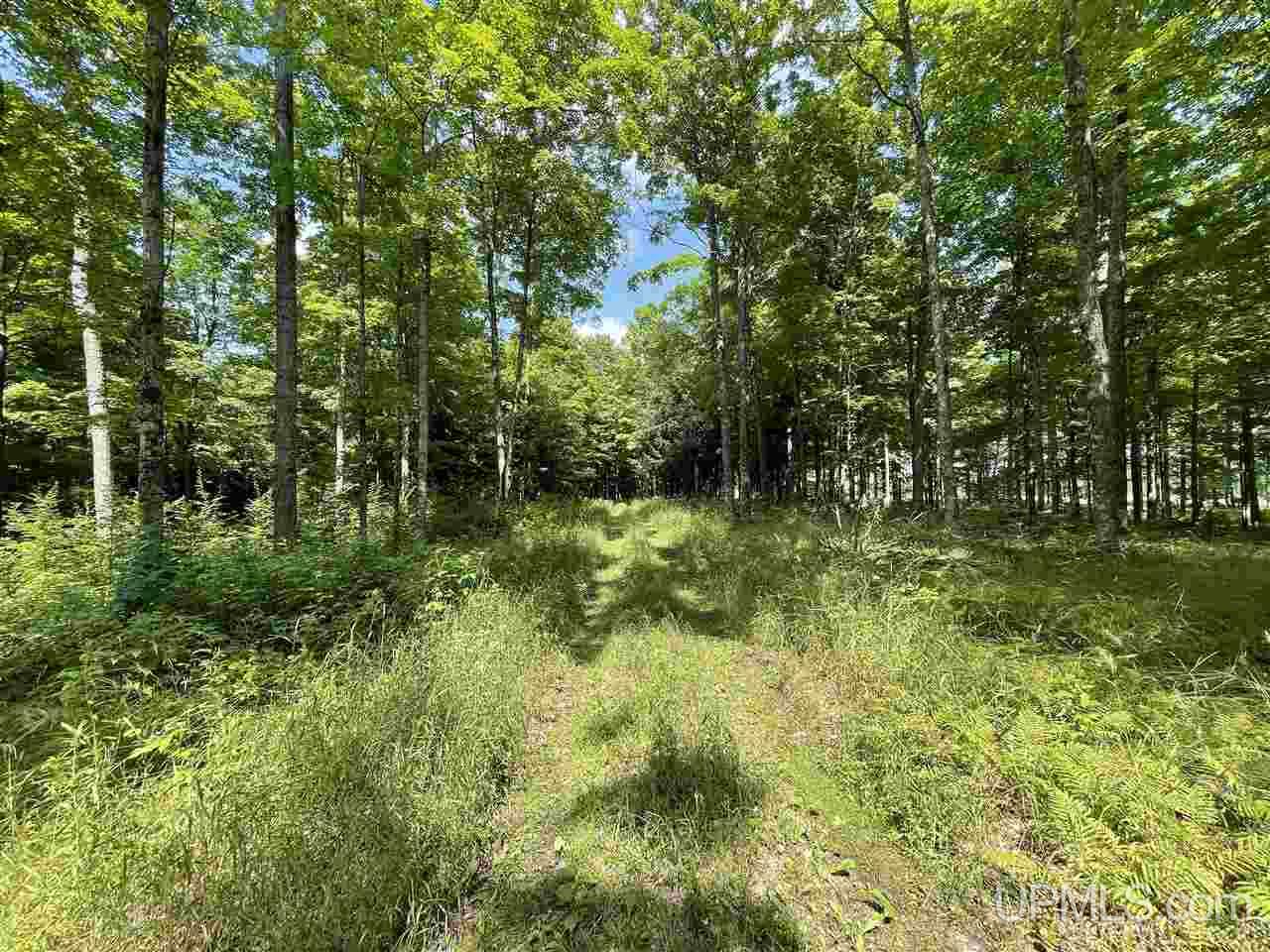 Tbd Sand Road, Unit 2 Powers, MI 49874 - Photo 15 of 38