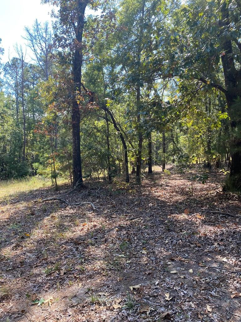 0 Clarkson Road Dalzell, SC 29040 - Photo 3 of 5