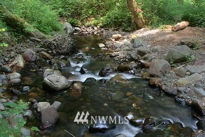 25332 Tiger Mountain Road Southeast Issaquah, WA 98027 - Photo 10 of 15 Gallery Image 10