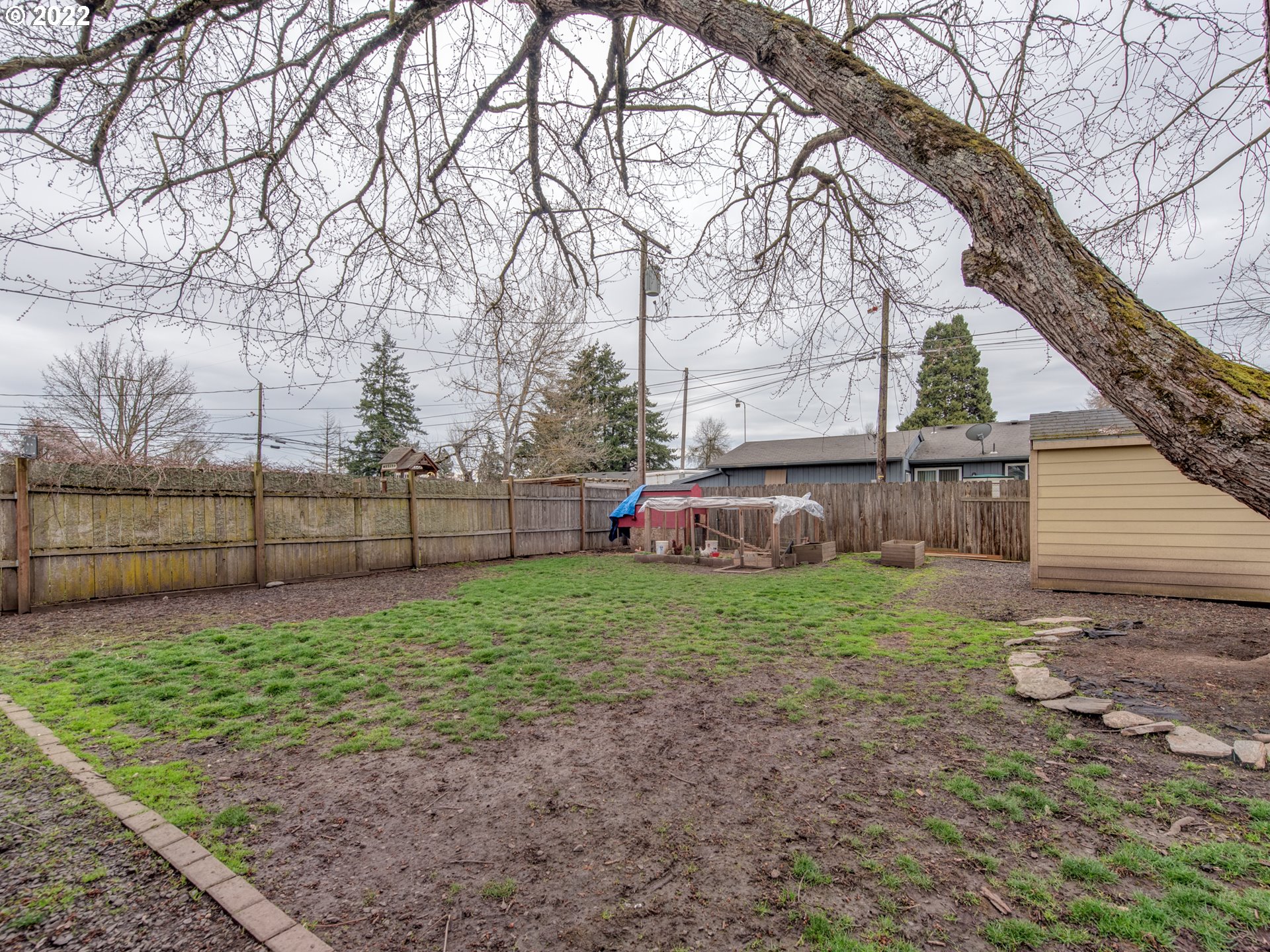 1177 N Street Springfield, OR 97477 - Photo 27 of 30 a view of a backyard with large tree