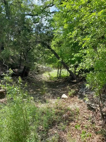 a view of a yard with a tree