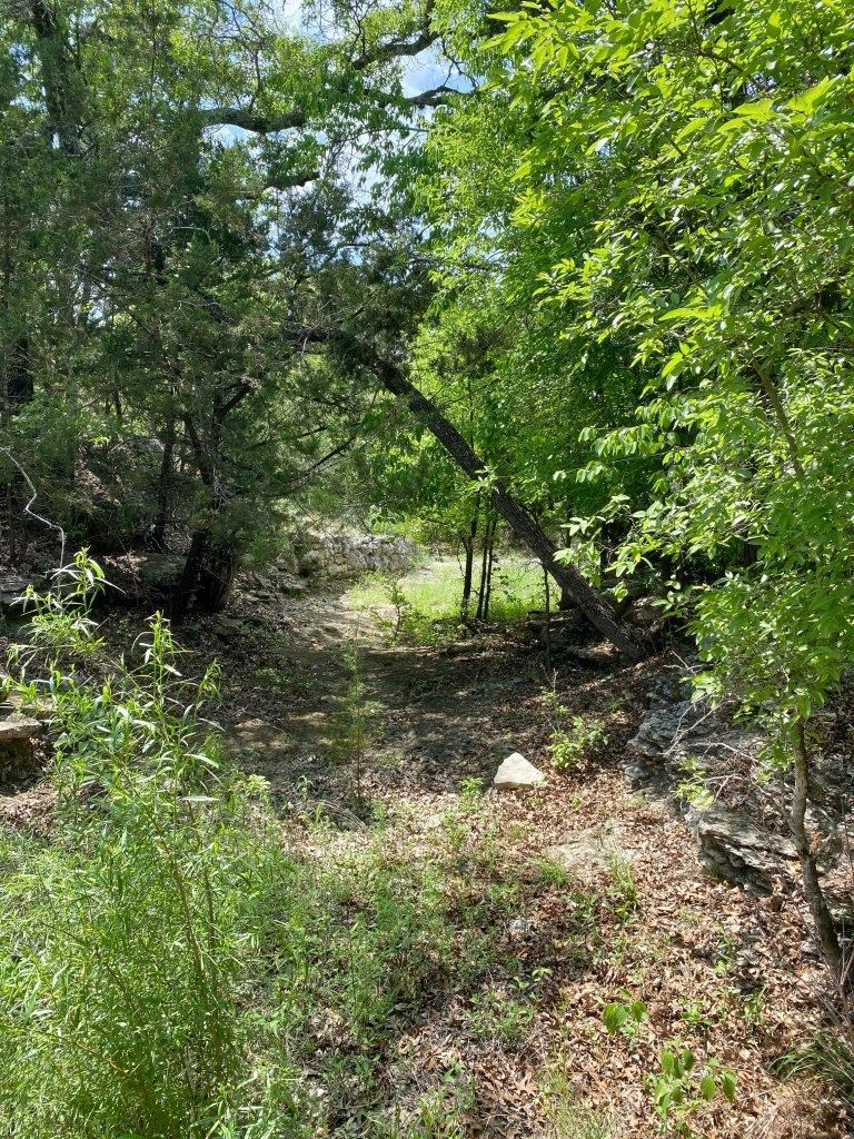 502-532 Oak Country Way Helotes, TX 78023 - Photo 2 of 11 a view of a yard with a tree