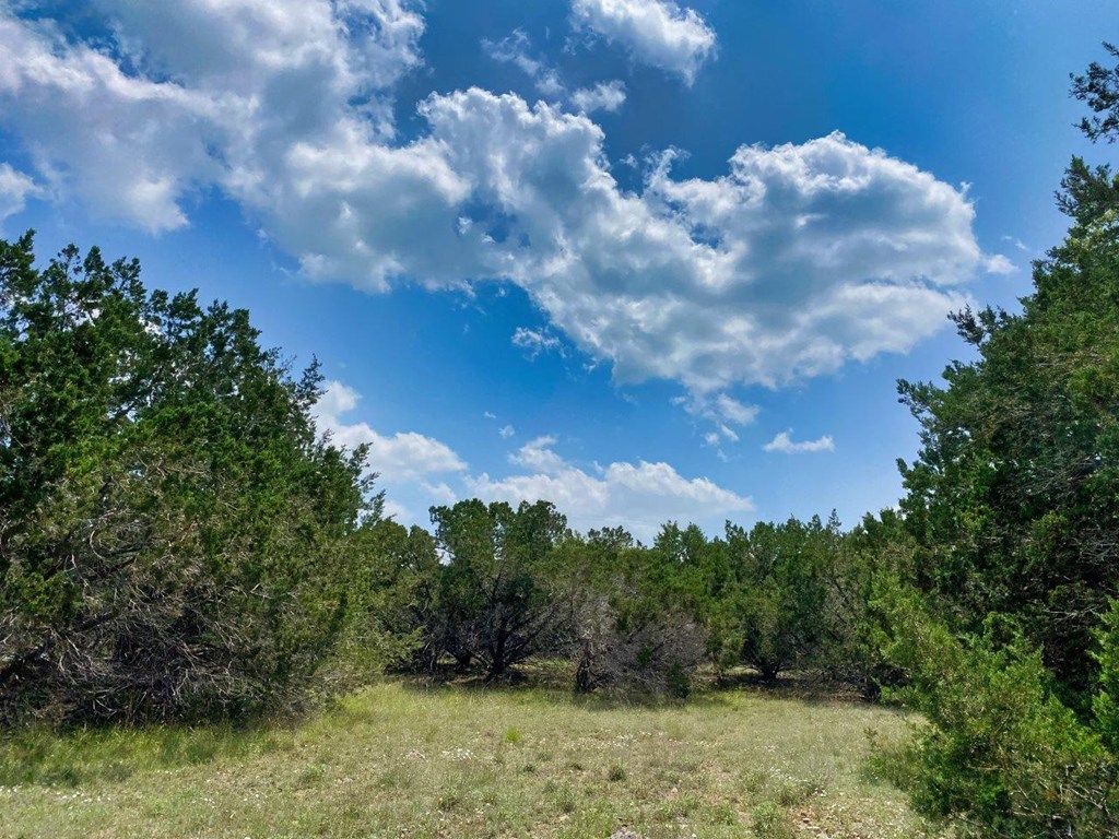 502-532 Oak Country Way Helotes, TX 78023 - Photo 5 of 11 a view of a yard