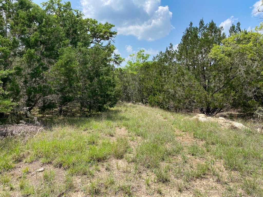 502-532 Oak Country Way Helotes, TX 78023 - Photo 9 of 11 a view of a yard