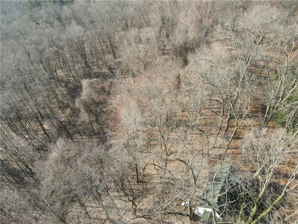 115 Bay Tree Lane Butler, PA 16002 - Photo 4 of 6