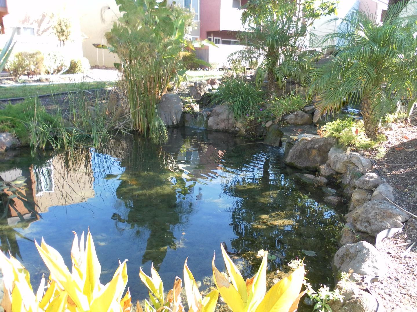452 Dempsey Road, Unit 252 Milpitas, CA 95035 - Photo 18 of 24 Gallery Image 18