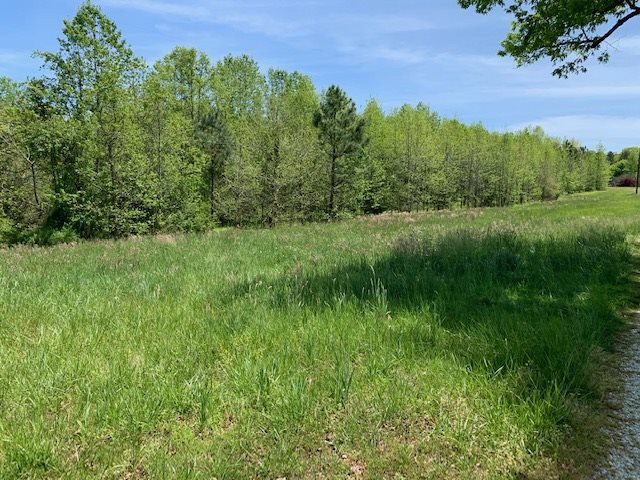 Paynes Tavern Road Roxboro, NC 27574 - Photo 1 of 8 Photo 1