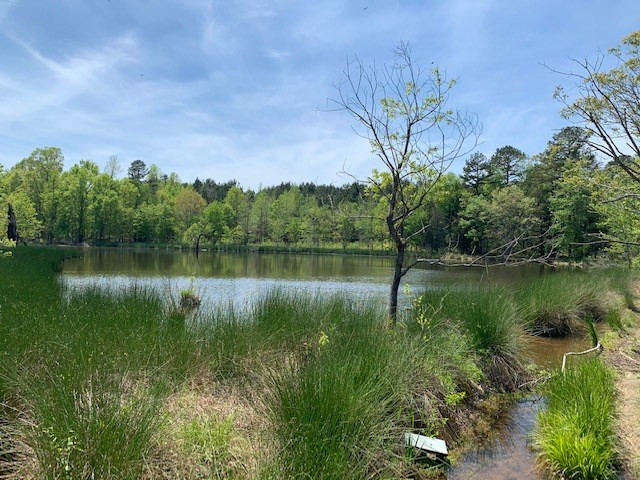 Paynes Tavern Road Roxboro, NC 27574 - Photo 2 of 8 Photo 2