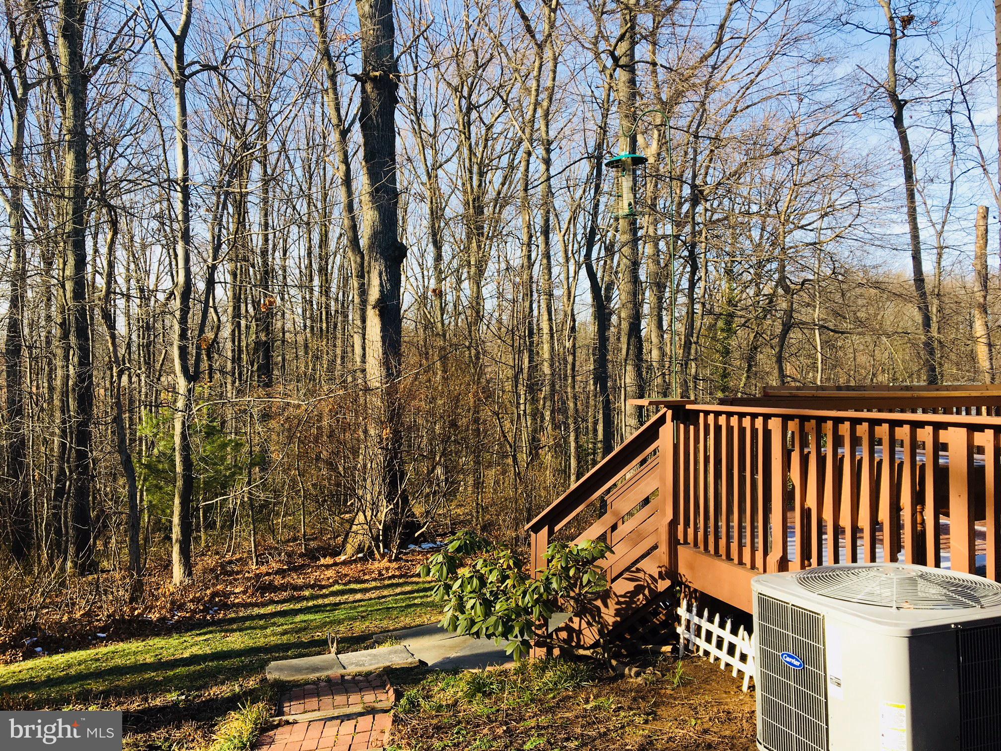 11951 Heathcote Court Reston, VA 20191 - Photo 13 of 14 Serene woodland retreat awaits you.