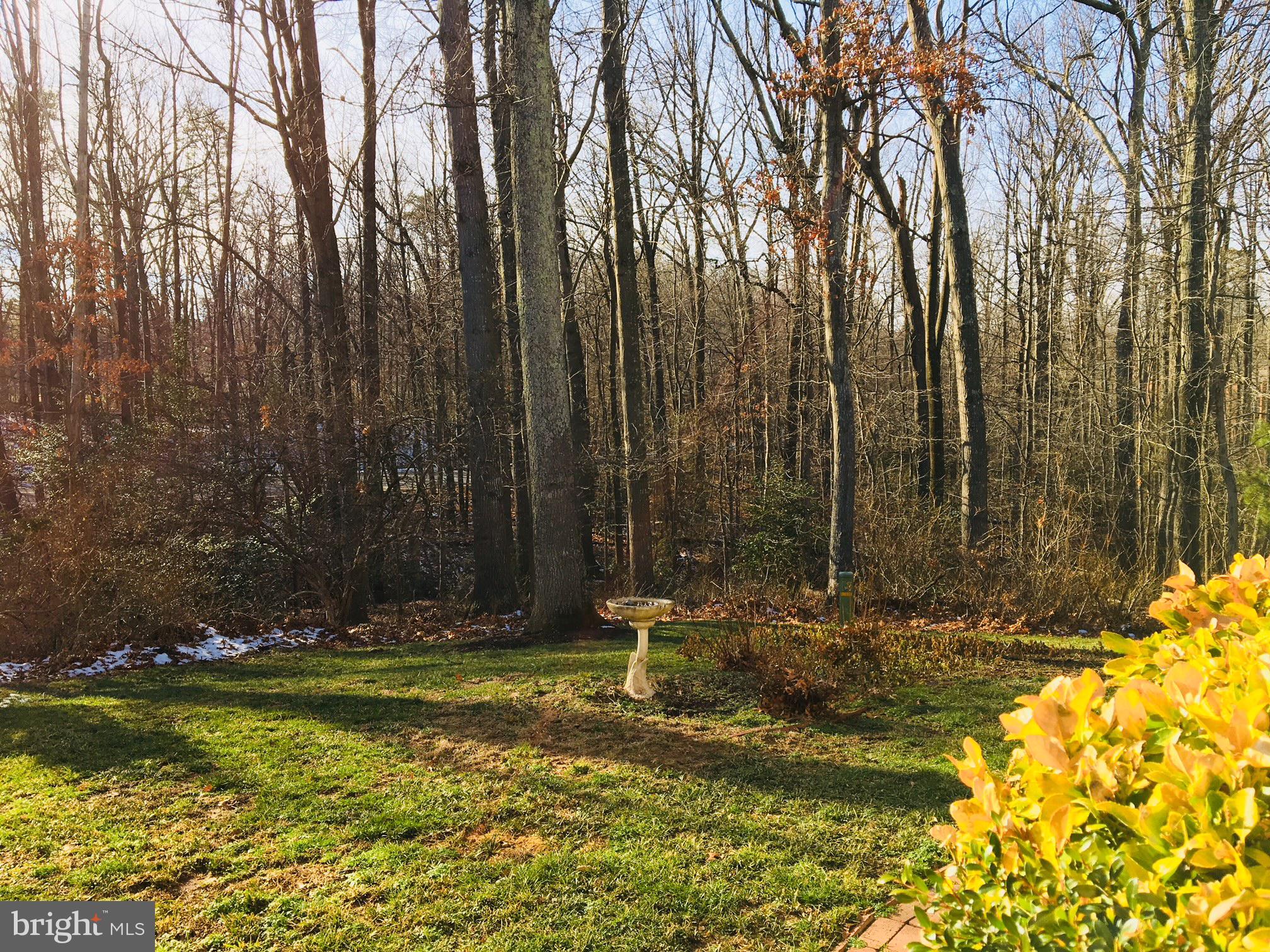 11951 Heathcote Court Reston, VA 20191 - Photo 14 of 14 Serene woodland retreat awaits you.