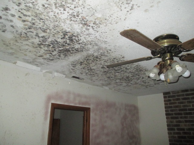 4234 West Fremont Road Blanchard, MI 49310 - Photo 8 of 12 1840637-7.JPG