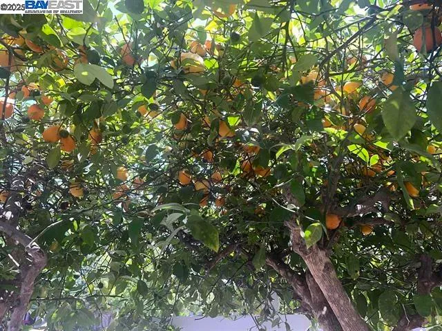 $549,999 | 405 Thistle Circle, Martinez, CA 94553