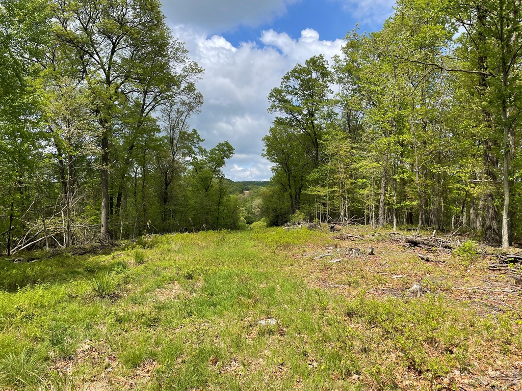 0 Lawsonham Road Rimersburg, PA 16248 - Photo 19 of 35