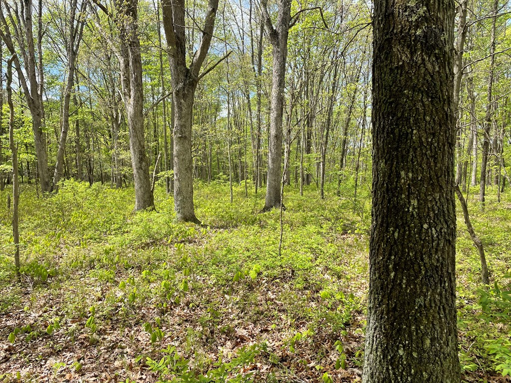 0 Lawsonham Road Rimersburg, PA 16248 - Photo 30 of 35