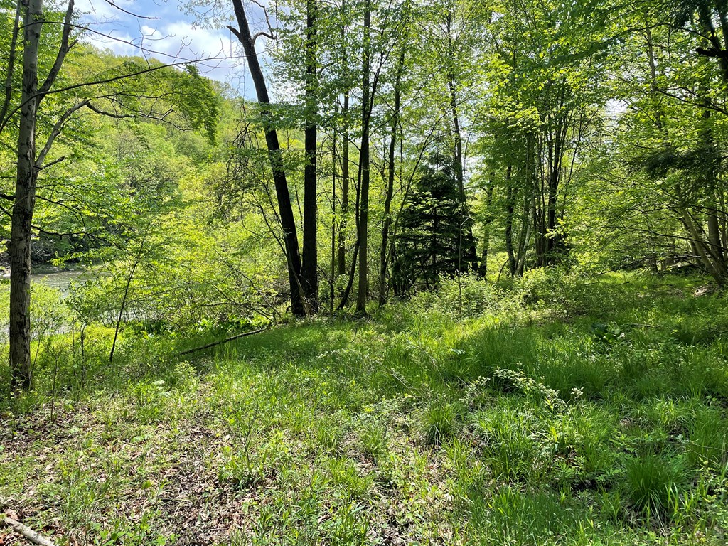 0 Lawsonham Road Rimersburg, PA 16248 - Photo 8 of 35