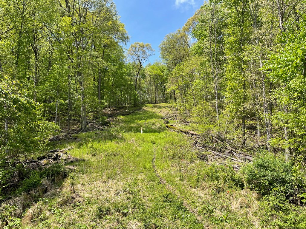 0 Lawsonham Road Rimersburg, PA 16248 - Photo 10 of 35
