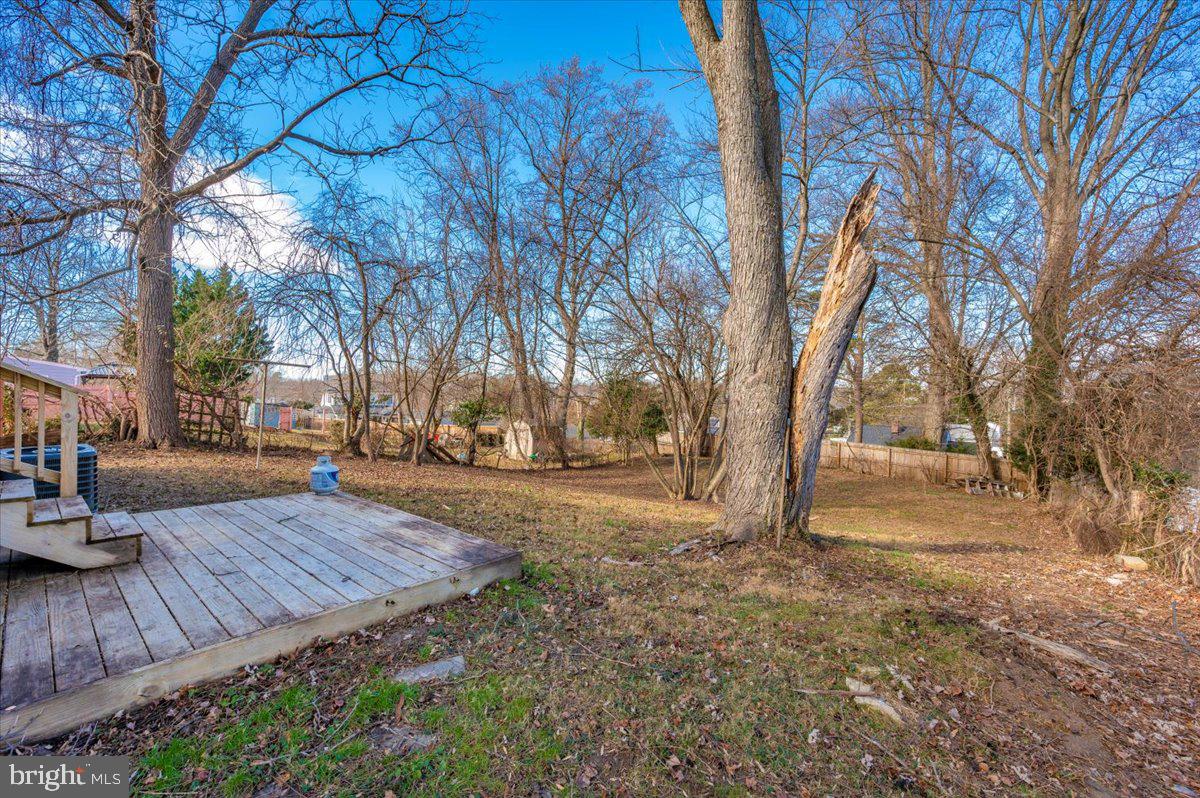 4511 Bennion Road Silver Spring, MD 20906 - Photo 33 of 40 a view of outdoor space with lots of trees