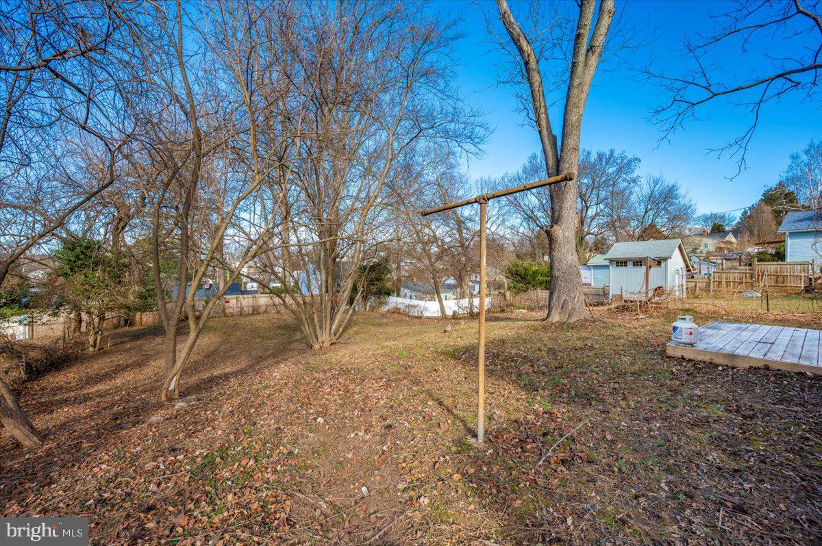 4511 Bennion Road Silver Spring, MD 20906 - Photo 35 of 40 a view of a yard with a tree