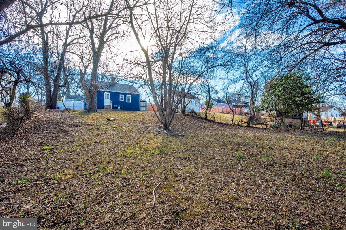 4511 Bennion Road Silver Spring, MD 20906 - Photo 37 of 40 a view of a yard with a tree