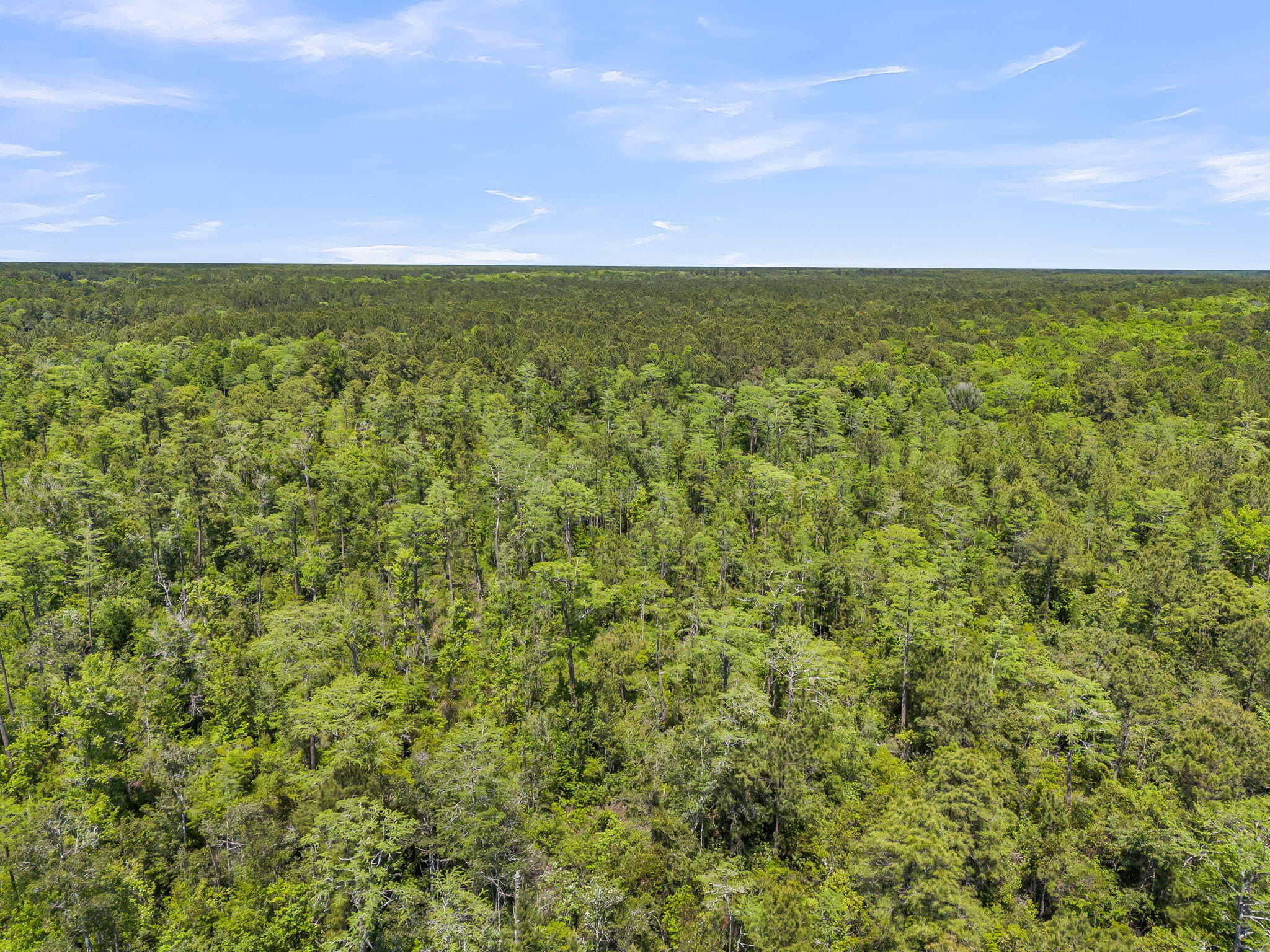 0 Deas Hill Road McClellanville, SC 29458 - Photo 20 of 20