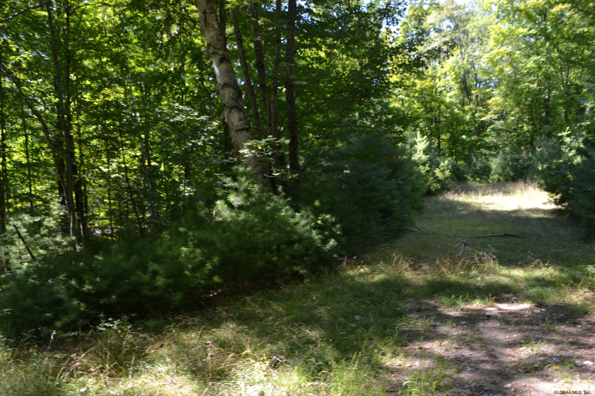 0 Marina Road Chestertown, NY 12817 - Photo 7 of 9 Photo 7