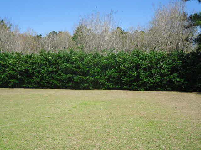 19901 Quail Circle Fairhope, AL 36532 - Photo 20 of 22
