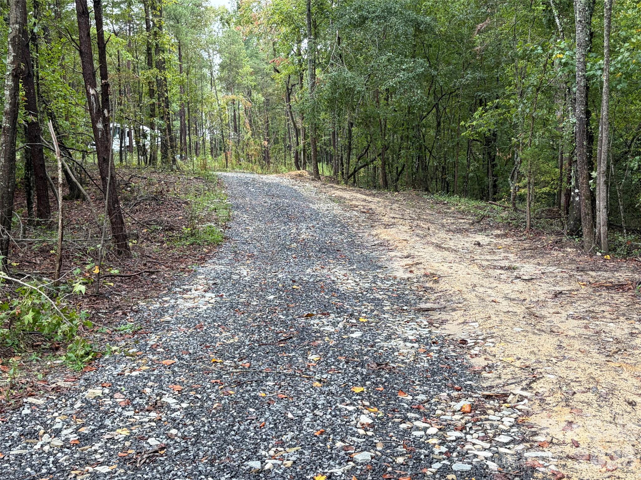 V/l West Thompson Road Rutherfordton, NC 28139 - Photo 13 of 21 Gallery Image 13