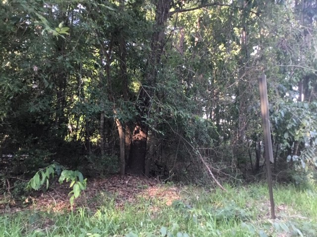 0 Water Tower Road Onalaska, TX 77360 - Photo 2 of 5 a backyard of a house with lots of green space