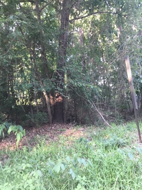 0 Water Tower Road Onalaska, TX 77360 - Photo 3 of 5 a view of outdoor space and green space