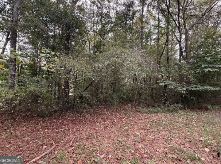 0 Lebanon Church Road, Unit TRACT 1 Jefferson, GA 30549 - Photo 13 of 15 Gallery Image 13