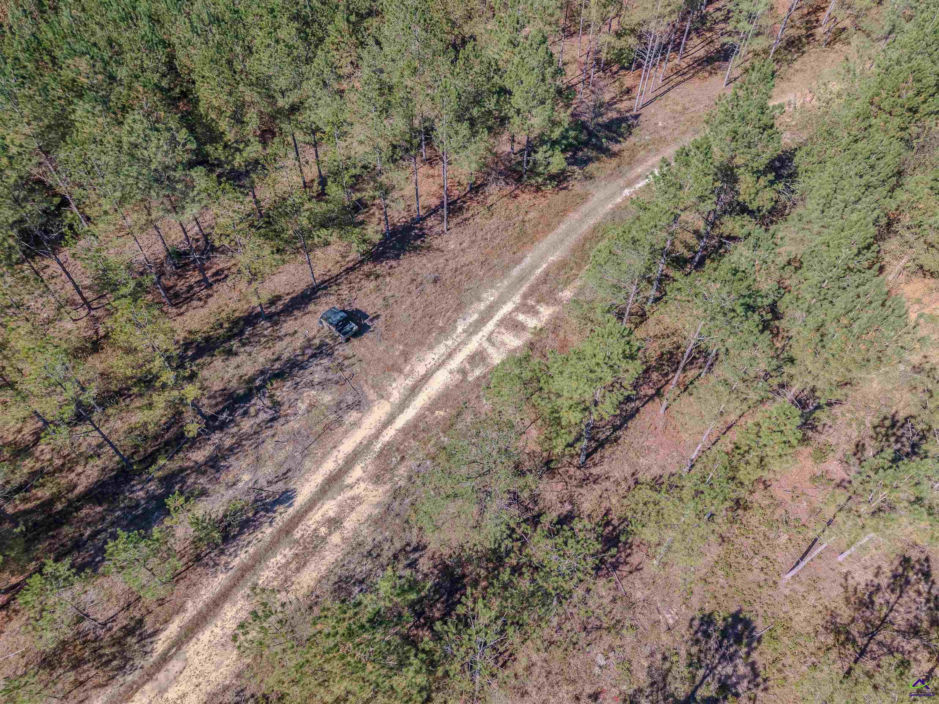 1446 Avera Road Roberta, GA 31078 - Photo 13 of 33